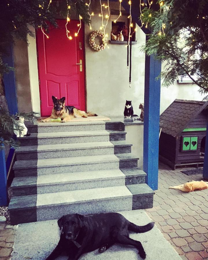 Willa Cat Stone Pisz Zewnętrze zdjęcie