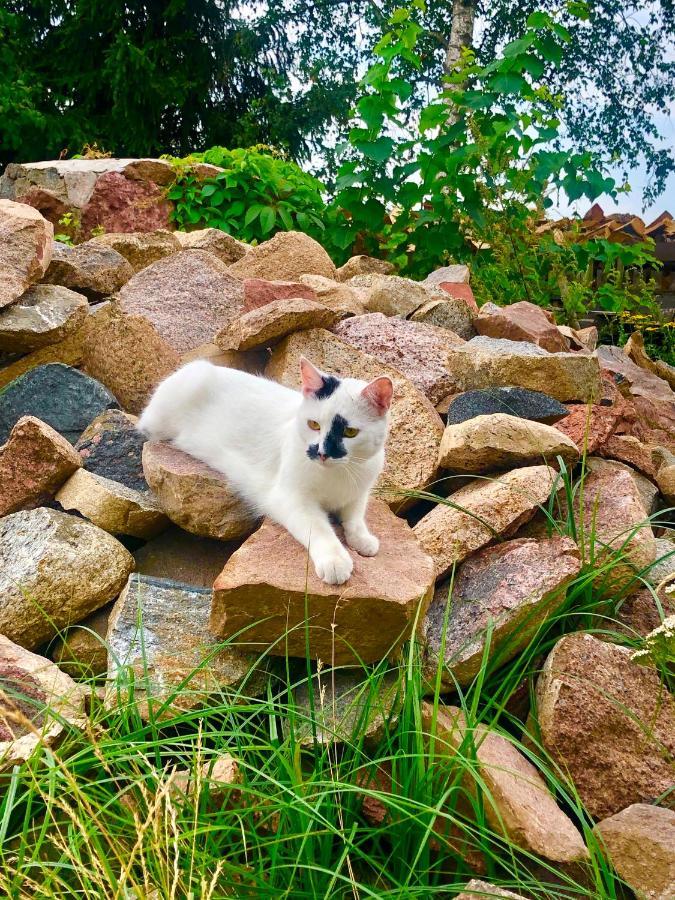 Willa Cat Stone Pisz Zewnętrze zdjęcie