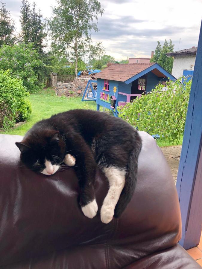 Willa Cat Stone Pisz Zewnętrze zdjęcie