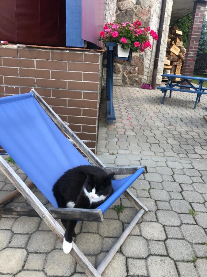 Willa Cat Stone Pisz Zewnętrze zdjęcie