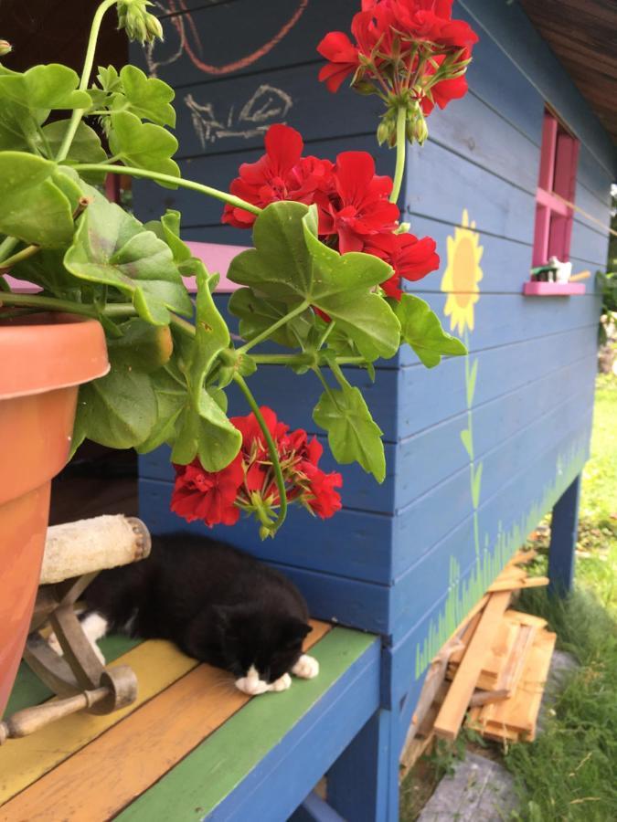 Willa Cat Stone Pisz Zewnętrze zdjęcie